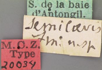 Media type: image; Entomology 20034   Aspect: labels